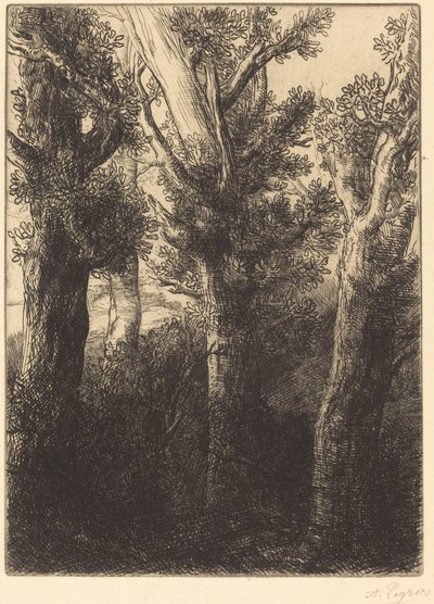 Deutscher Wald, Downley von Alphonse Legros