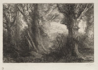 Im Wald bei Conteville von Alphonse Legros