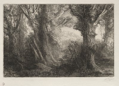 Im Wald bei Conteville von Alphonse Legros