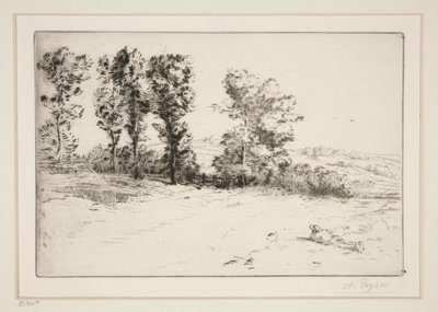 Le pré ensoleillé (Wiese im Sonnenschein) von Alphonse Legros