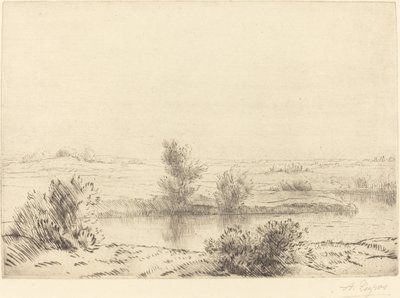 Sumpf Les marais von Alphonse Legros