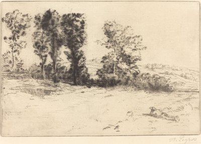 Wiese im Sonnenschein von Alphonse Legros