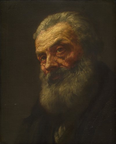 Porträt eines alten Mannes von Alphonse Legros