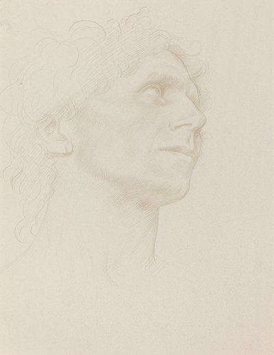 Studie eines Frauenkopfes, nach rechts gewandt von Alphonse Legros