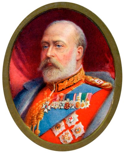 König Edward VII, 1910 von Alyn Williams