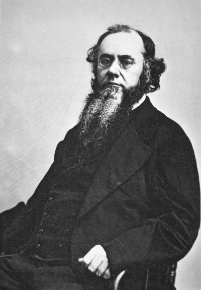 Edwin M. Stanton (1814-69) von American Photographer