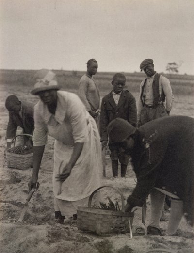 Feldarbeit von American Photographer