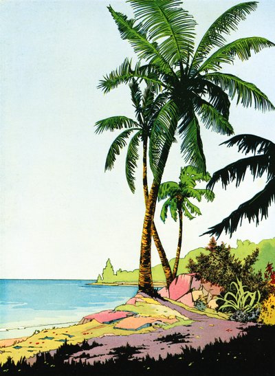 Illustration des Strandparadieses mit Palmen von American School