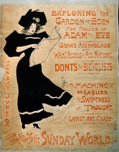 New York Sunday World Poster von American School