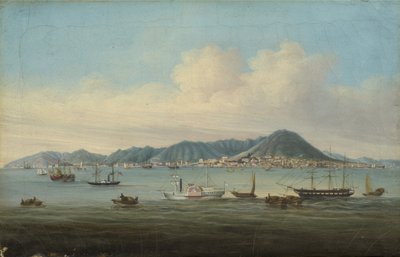 Ansicht von Hongkong, 1850 von American School