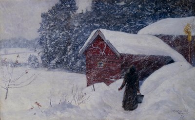 Schneesturm von Anders Kongsrud