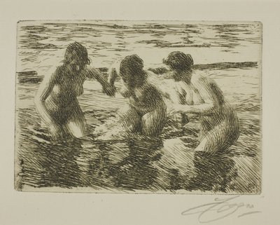 Gegen den Strom von Anders Leonard Zorn