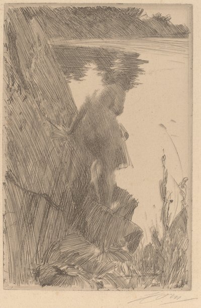 Badende III (Baigneuse de Dos) von Anders Leonard Zorn