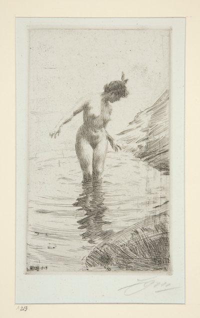 Kreise d von Anders Leonard Zorn