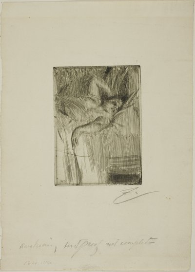 Das Erwachen von Anders Leonard Zorn