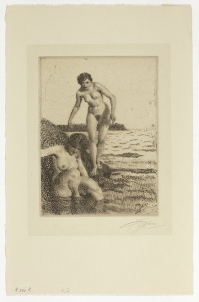 Auf der Insel Hemsö von Anders Leonard Zorn