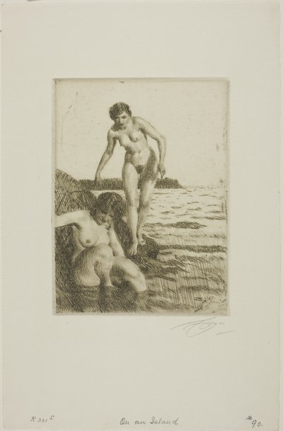 Auf der Insel Hemsö von Anders Leonard Zorn