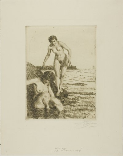 Auf der Insel Hemsö von Anders Leonard Zorn