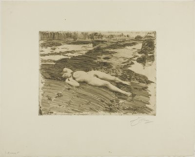 Am Strand von Anders Leonard Zorn