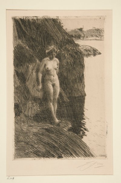 Precipe von Anders Leonard Zorn