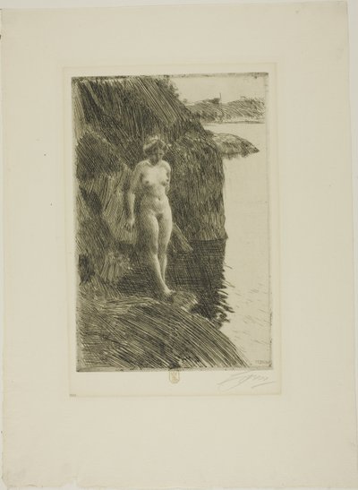 Abgrund von Anders Leonard Zorn