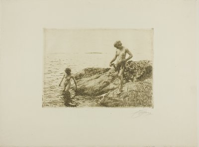 Seewärts Skerries von Anders Leonard Zorn