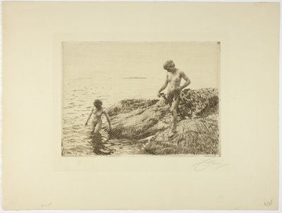 Seaward Skerries von Anders Leonard Zorn
