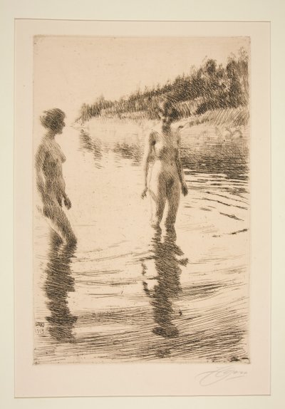 Flach von Anders Leonard Zorn