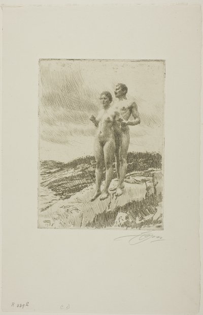 Die Zwei von Anders Leonard Zorn