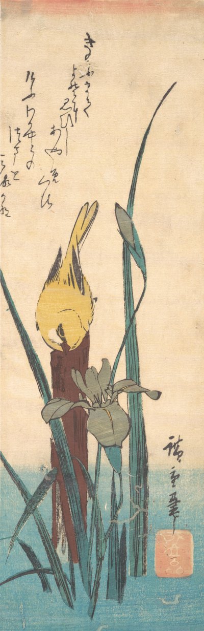 Vogel und Iris von Ando Hiroshige