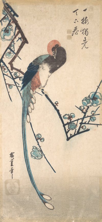 Langschwanzvogel von Ando Hiroshige