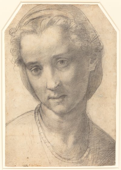 Kopf einer Frau von Andrea del Sarto