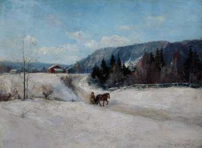 Winterlandschaft am Skaugum-Hügel von Andreas Singdahlsen
