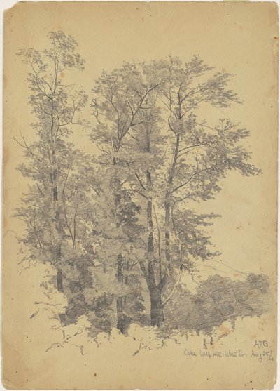 Eichen, Wolf Hill, Ulster County von Andrew Fisher Bunner