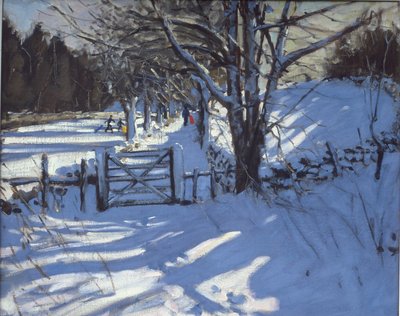 Tor in der Nähe von Youlgreave, Derbyshire von Andrew Macara