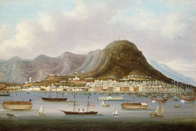 Ansicht von Hongkong von Anglo Chinese School