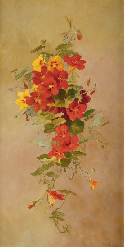 Kapuzinerkressen von Anna Eliza Hardy