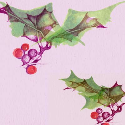 Stechpalme von Anna Platts