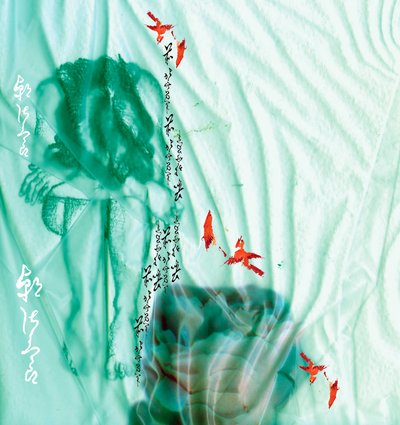 Blaue Erlösung von Anna Platts