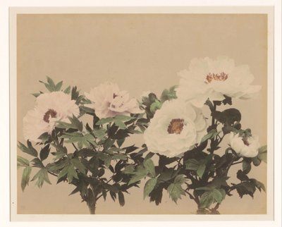 Blumenstillleben mit Pfingstrosen von Anonymous