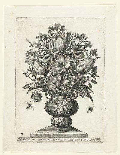 Groteske Vase mit Blumen von Anonymous