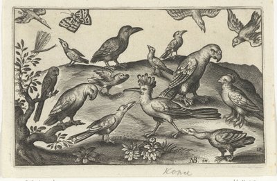 Hopfen und andere Vögel von Anonymous