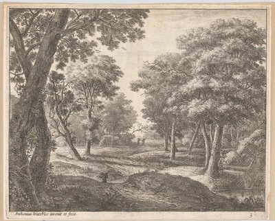 Ein Pfad durch den Wald von Anthonie Waterloo
