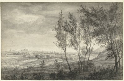 Blick aus den Dünen auf Haarlem von Anthonie Waterloo