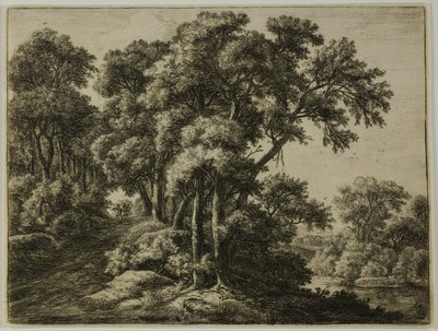 Der bewaldete Pfad von Anthonie Waterloo