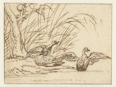 Drei Enten am Wasserufer von Anthonie van Borssom