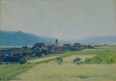 Morgen an der Donau von Anton Hans Karlinsky