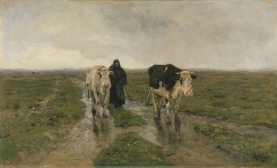 Wechselnde Weide, ca. 1880er Jahre von Anton Mauve