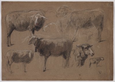 Studien von Schafen von Anton Mauve