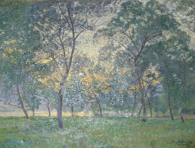 Abend im Isonzotal von Anton Nowak
